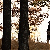 1040.jpg