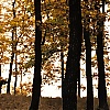 1055.jpg