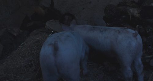 Click to view full size image
==============
001.jpg 001.jpg