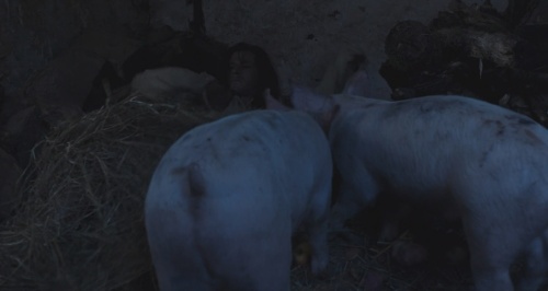 Click to view full size image
==============
002.jpg 002.jpg