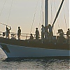 320.jpg